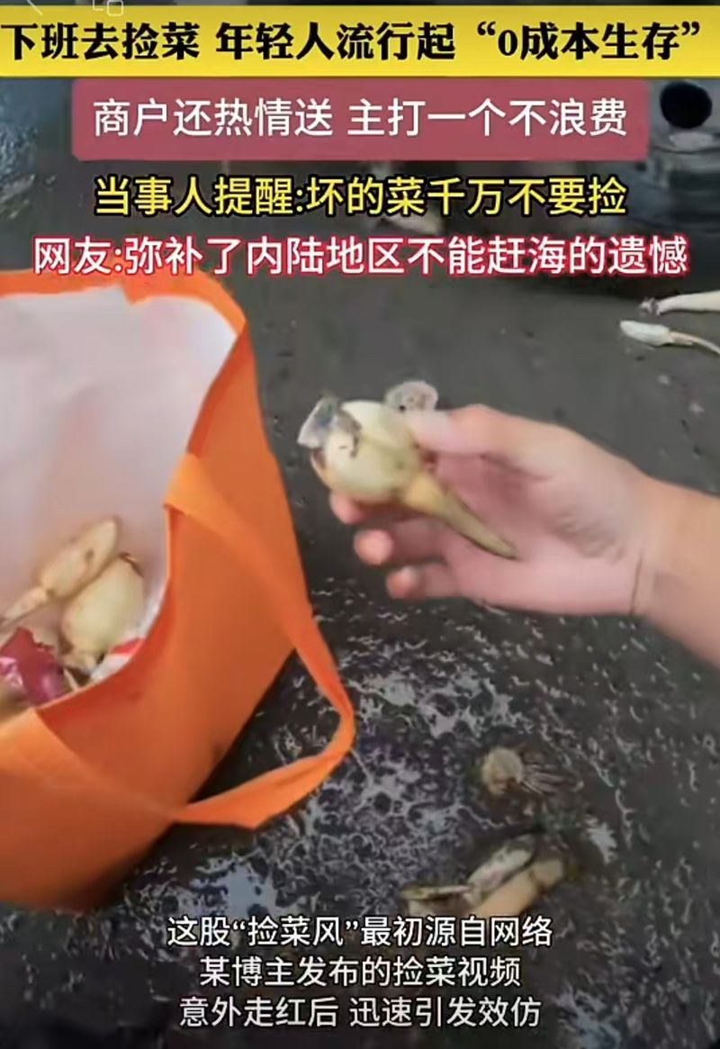 从“老阿姨考研”到“00后捡菜”，暴力起号还有多少套路